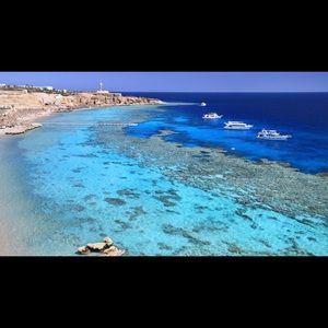 Meet your Posher, Zeina